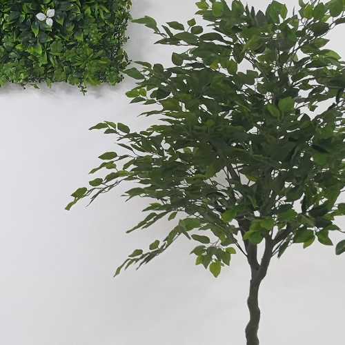 ficus-artificiale