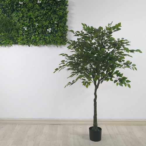 ficus-artificiale