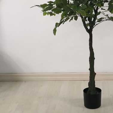 ficus-artificiale-4