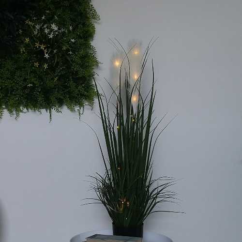 pianta-pampas-led