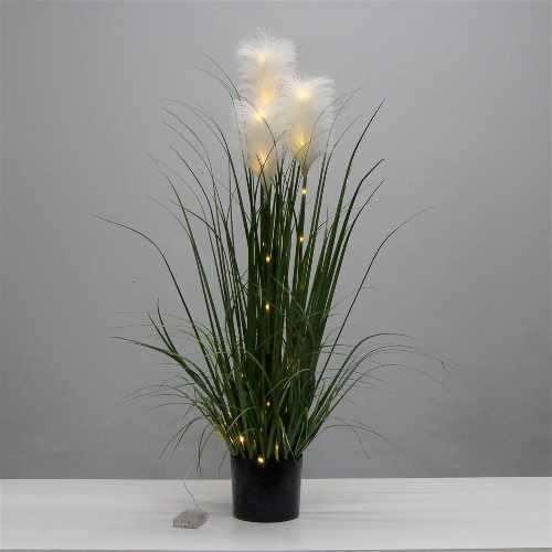 pianta-pampas-led