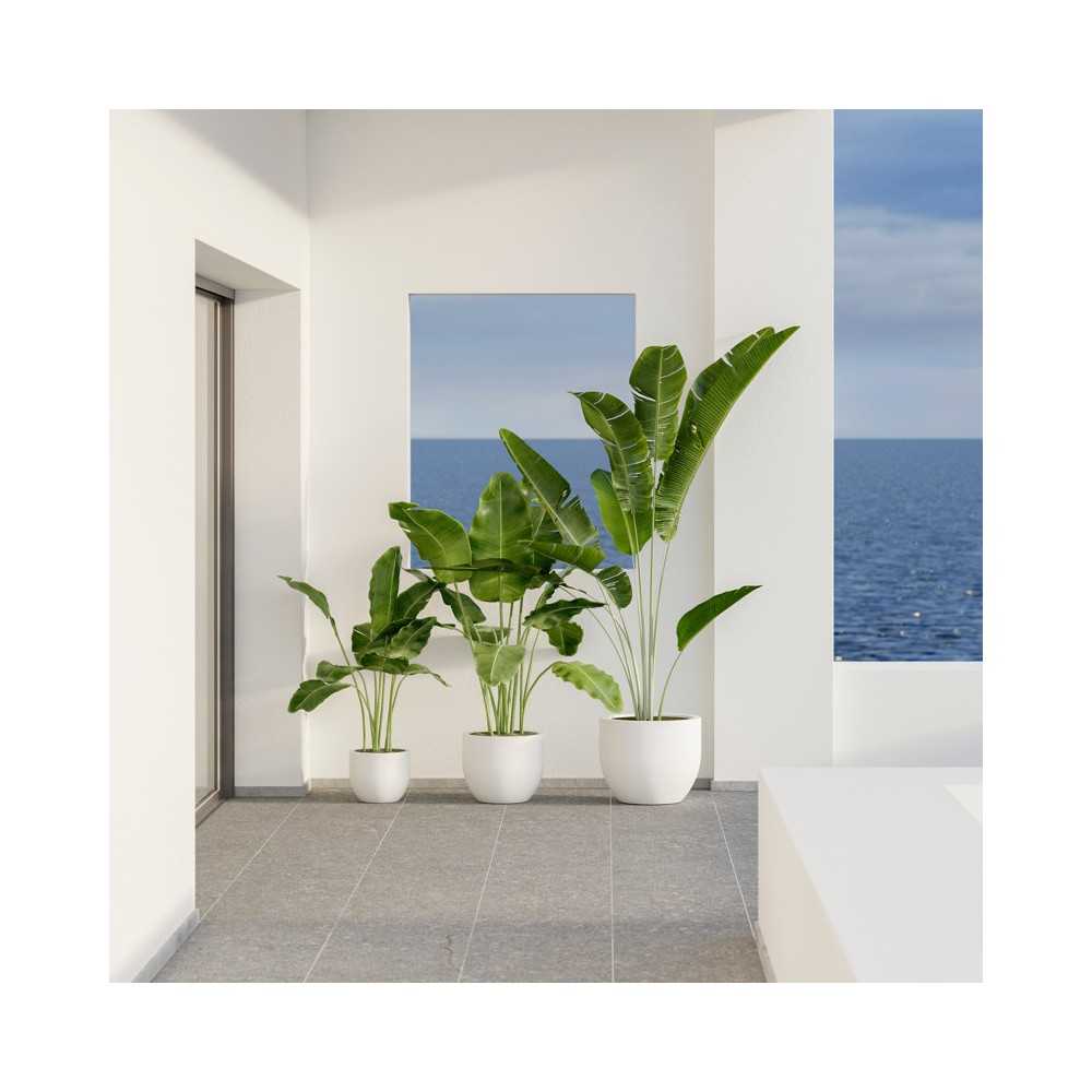 AZALEA 50 modern vase in white resin | Mestucò