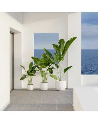 Vaso moderno AZALEA 50 in resina bianca | Mestucò